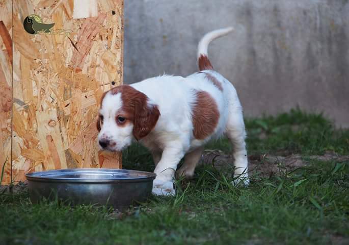 FB IMG 1462248230787